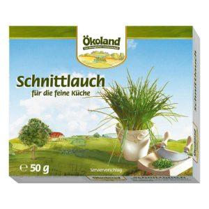 Schnittlauch