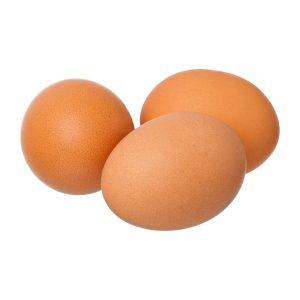 Bio Eier der Familie Hobl