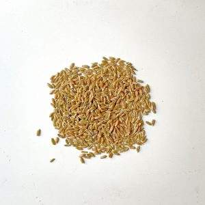 Grünkern